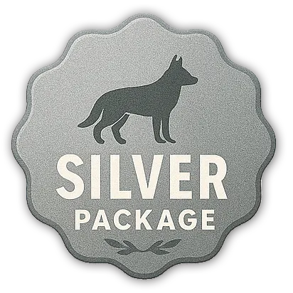 Silver package